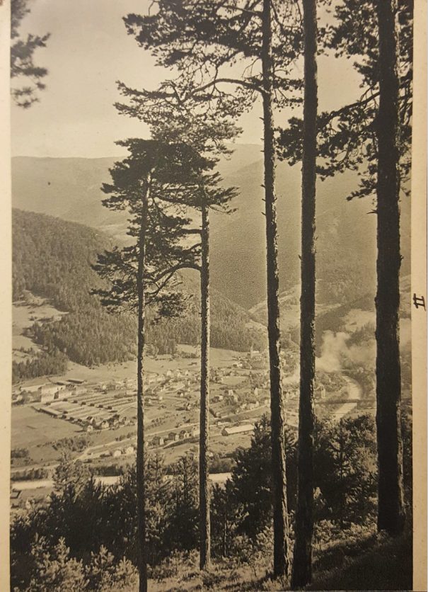 A sepia photograph postcard looking down through tall pines onto a valley floor with rows of long, low buildings.
