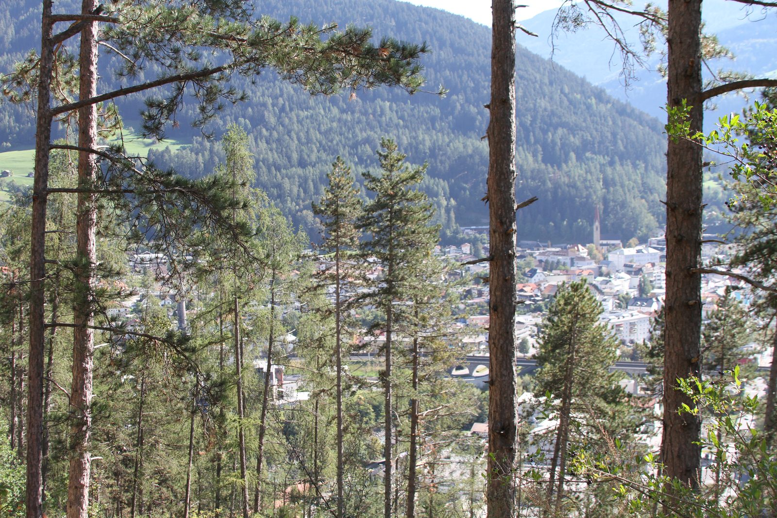 Looking down through tall pines onto Landeck in its valley, the town and its church spire small in the distance, mountains behind.
